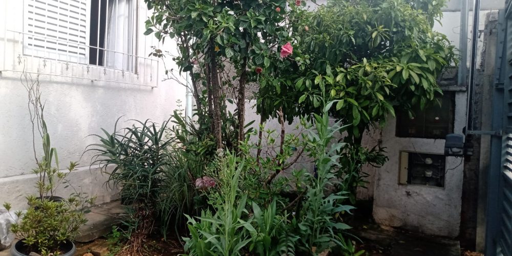 4db05801-31a3-40ea-b32c-3bbd3788a09d