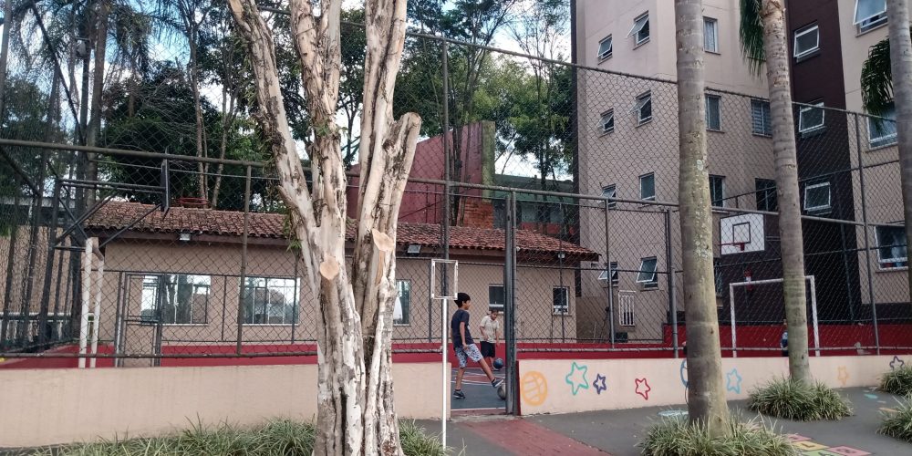 IMG_20230724_145826734