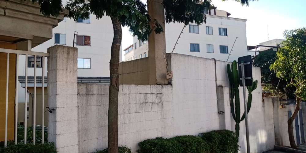 IMG_20240606_151624540 - Copia - Copia