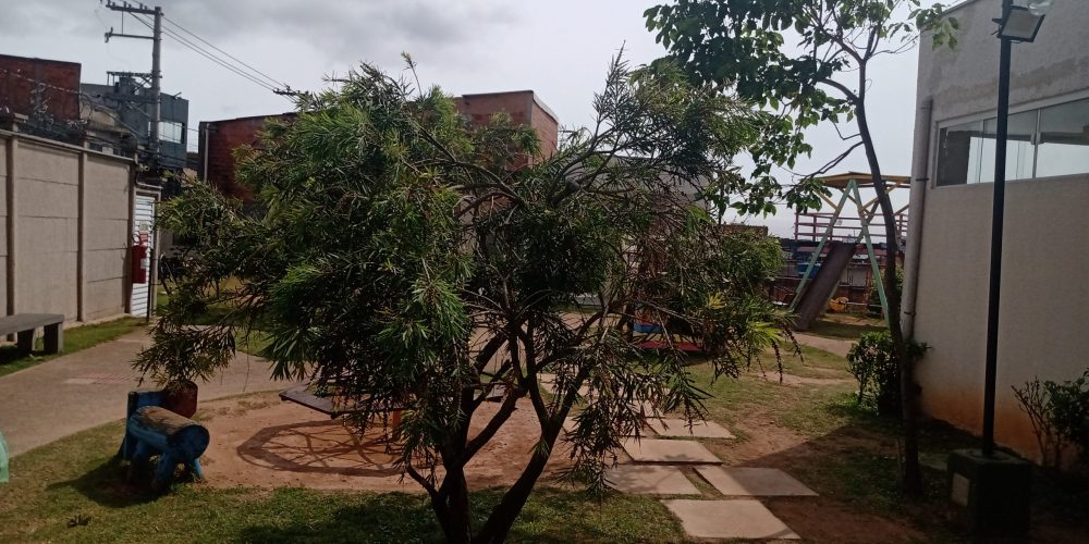 IMG_20241014_143530995