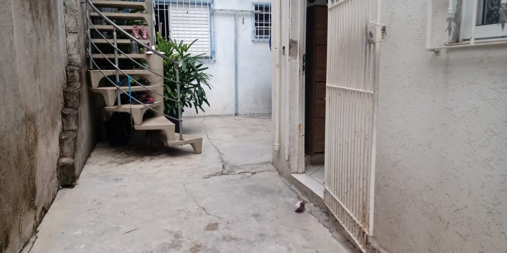 d0aebed1-c1d1-41d9-98b2-0313044729ca